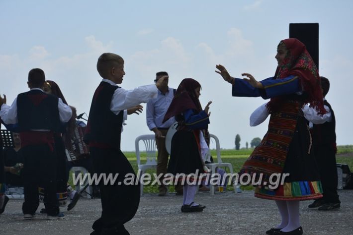 alexandriamou.gr_trikala28.5.2018199